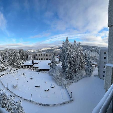 Harz Stube Lejlighed Goslar Eksteriør billede